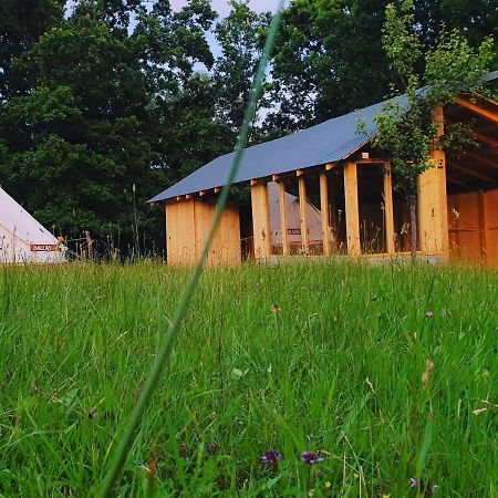 Penzion Texas House Novaci-Străini Exteriér fotografie